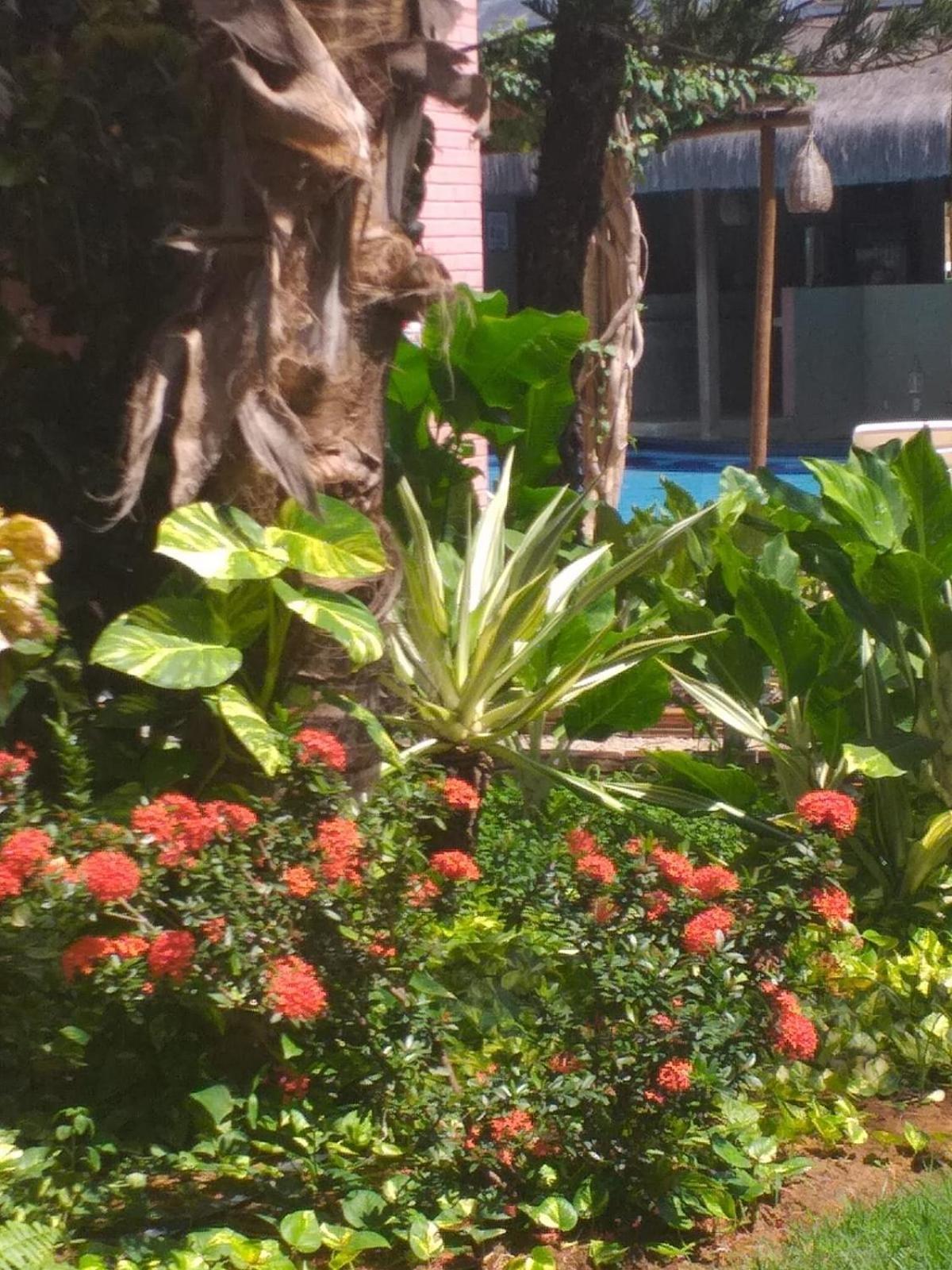 Chale Tulipa - Centro Praia Da Pipa Praia de Pipa Zewnętrze zdjęcie